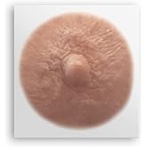 TataTattoos Temporary Realistic Nipple/Areola Tattoos &ndash; Non-Surgical for Mastectomy Recovery &ndash; for Post Breast Cancer Surgery (Cream, Medium (Pack of 2))
