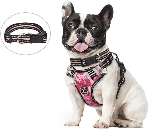 lockable dog collar and lead