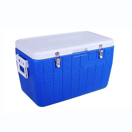 LIYANBWX - Nevera portátil (52 L, con asa y Tapa, Totalmente ...