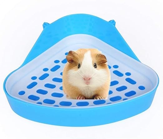 chinchilla litter pan