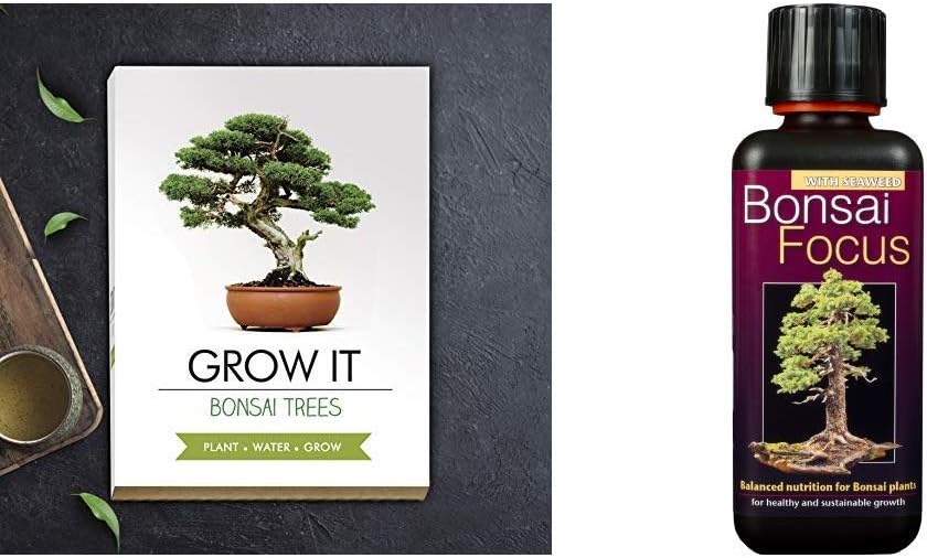 Gift Republic: Grow It. Grow Your Own Bonsai Trees