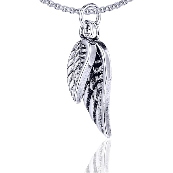 Amazon.com: Xusamss Hip Hop Titanium Steel Angel Wing