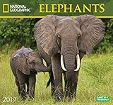 National Geographic Elephants 2019 Wall Calendar