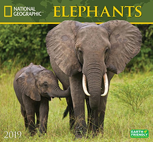 National Geographic Elephants 2019 Wall Calendar