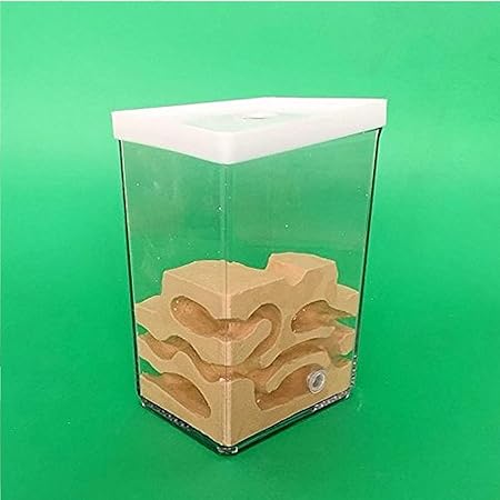 最新 蟻 観察 ケース 蟻 観察 ケース 自作 ペットボトル