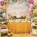 2PCS Luau Hawaiian Grass Table Skirt Decorations - Hula Hibiscus Tropical Birthday Summer Pool Party Supplies