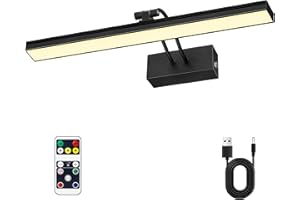 LEEQVHOOLL Picture Light,16in Battery Wall Light,3CCT Display Light,Metal Art Lights for Paintings,Remote Timer and Dimmable Accent Light for Gallery,Artwork,Portrait,Frame(Black)