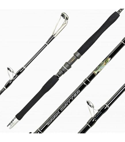 best fishing rod under 50
