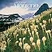 Montana, Wild & Scenic 2019 12 x 12 Inch Monthly Square Wall Calendar, USA United States of America by 