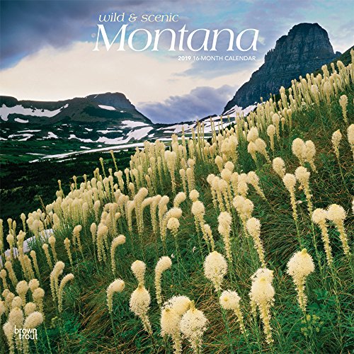 Montana, Wild & Scenic 2019 12 x 12 Inch Monthly Square Wall Calendar, USA United States of America Rocky Mountains State Nature (English, Spanish and French Edition) by (Calendar)