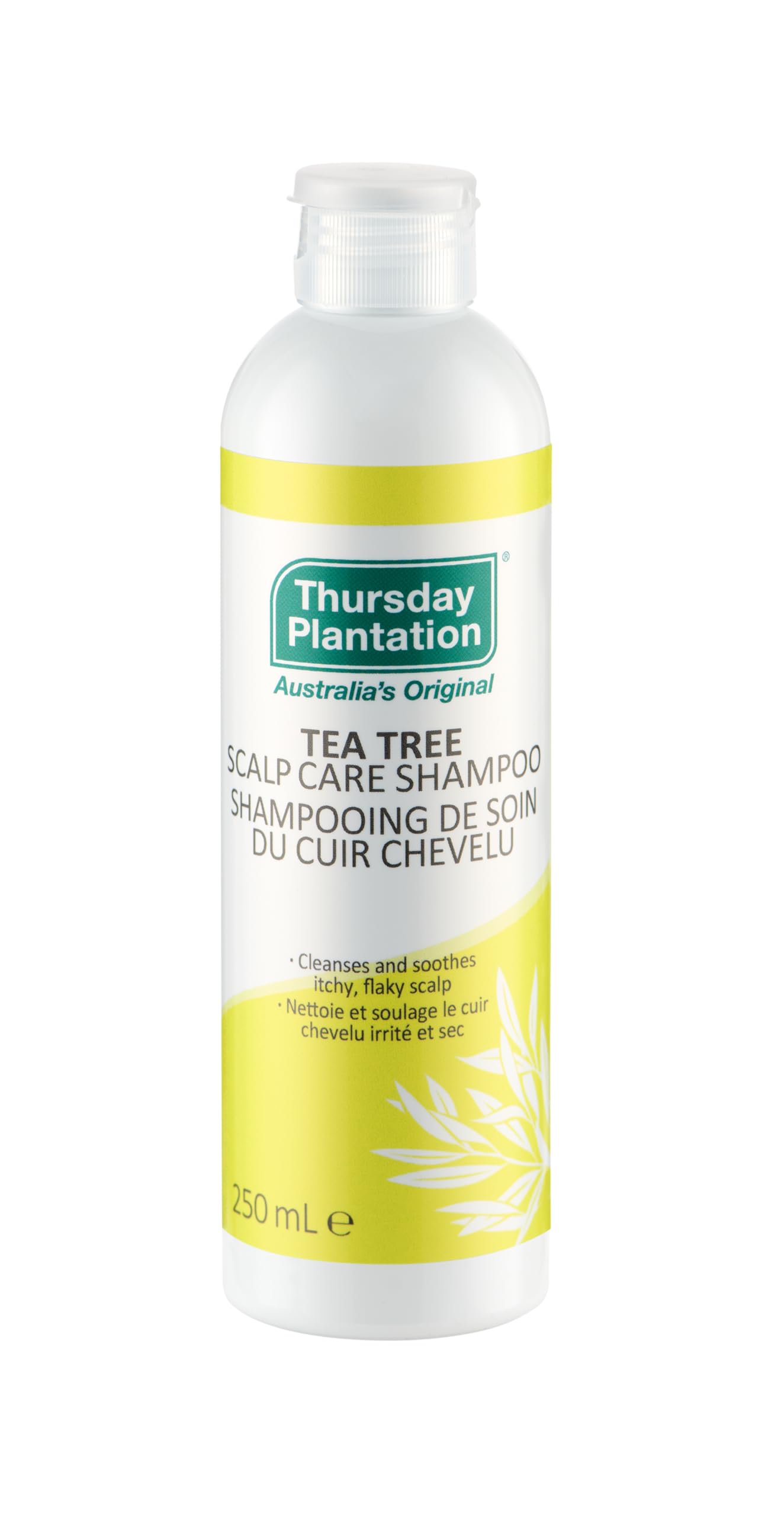 THURSDAY PLANTATION Tea Tree Scalp Care Shampoo 250ml (PACK OF 1)