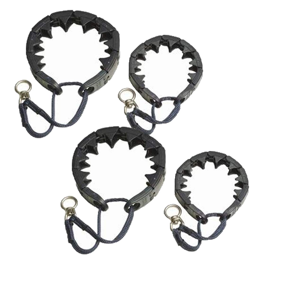 starmark pinch collar