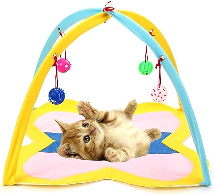 cat toys and beds