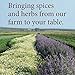 The Spice Way Chinese Five Spice Seasoning - Traditional Authentic Powder Blend 2 oz