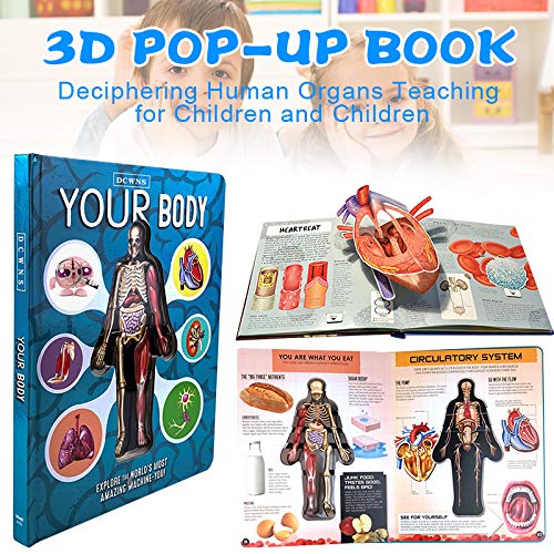 Tenflyer Your Body - Anatomy Books for Kids - Children's Anatomy Books - Early Education Book - 3D P