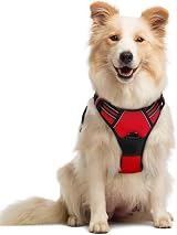 rabbitgoo Dog Harness Medium No Pull Adjustable Reflective Red M