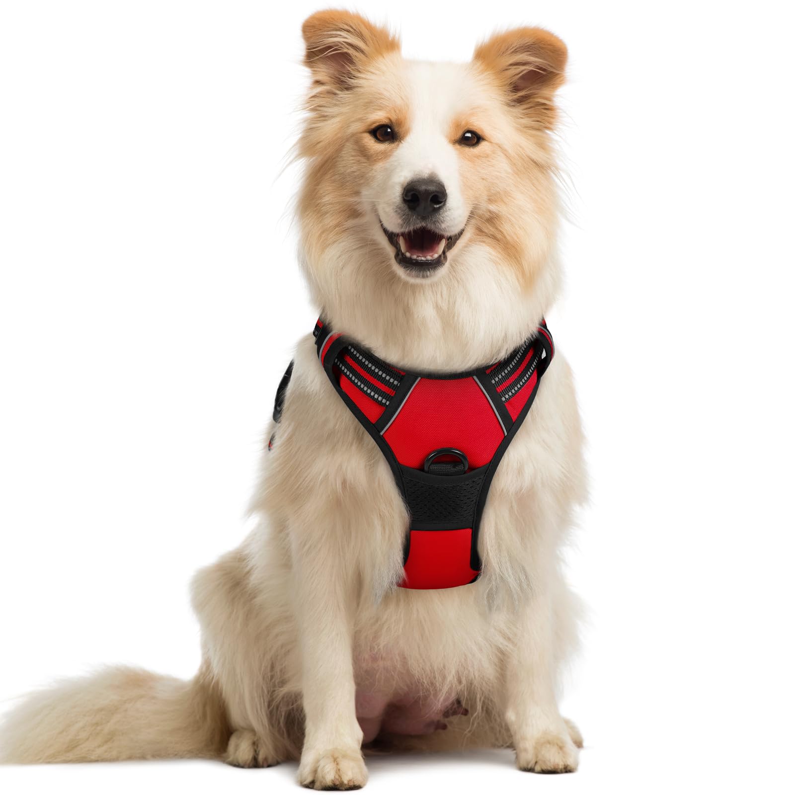 rabbitgoo Dog Harness Medium No Pull Pet Harness with 2 Leash Clips, Adjustable Soft Padded Pet Vest, Reflective No-Choke with Easy Control Handle for Training or Walking, Red, M