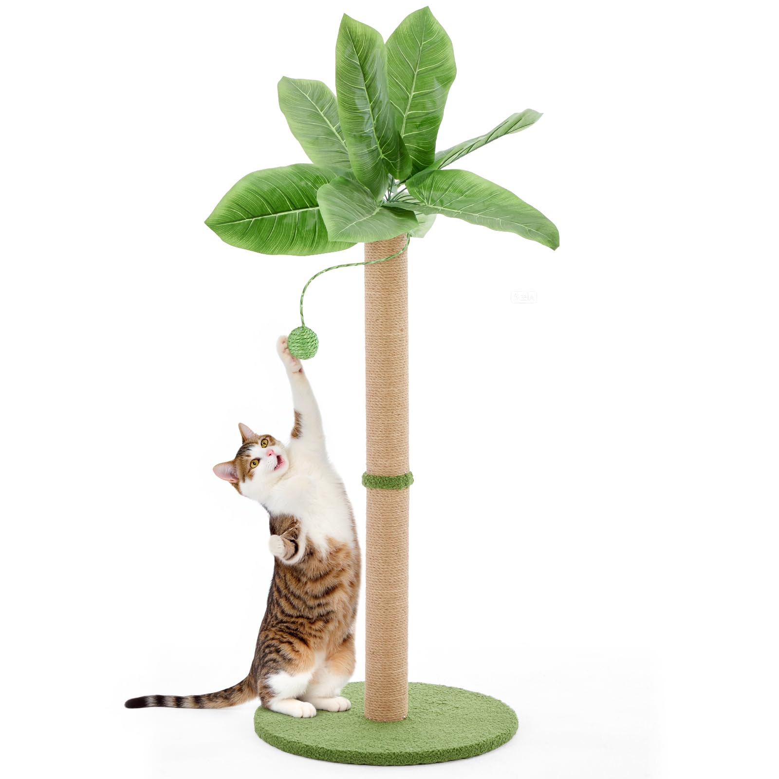 DUMOS Small 33inch Cat Scratching Post for Indoor Cats, Cat Scratcher Scratching Posts with Dangling Ball for Adult, Palm Tree Cat Scratch Post for Kittens, Green Image