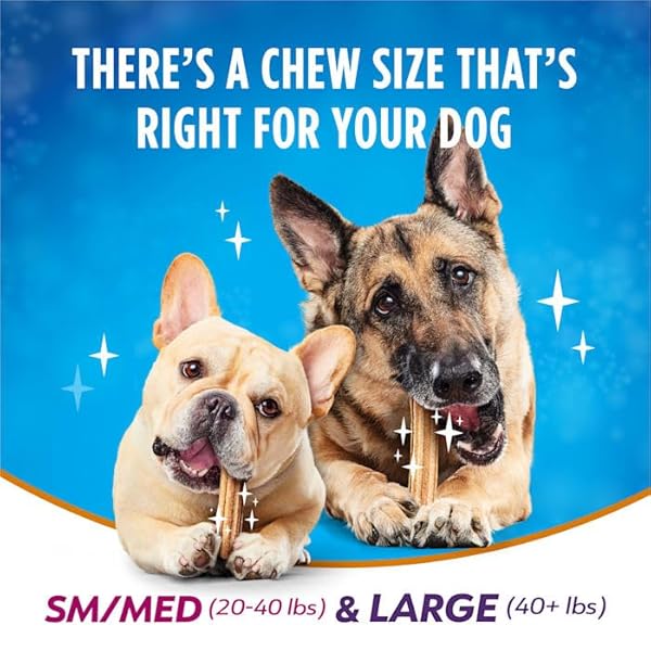 DENTALIFE PLUS IMMUNE SUPPORT CHICKEN APPLE AND BLUEBERRY FLAVOR LARGE DOG DENTAL CHEWS 22.6 OZ. COUNT OF 19