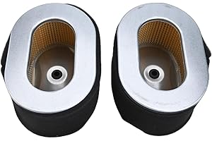 ZYNCUE Diesel Generator Air Filter Element for L90, L100, 186, 186F, 186FA, 10HP Engine Replacement Accessories 2pcs