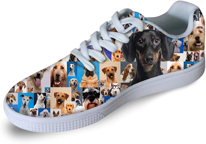 dog sneakers
