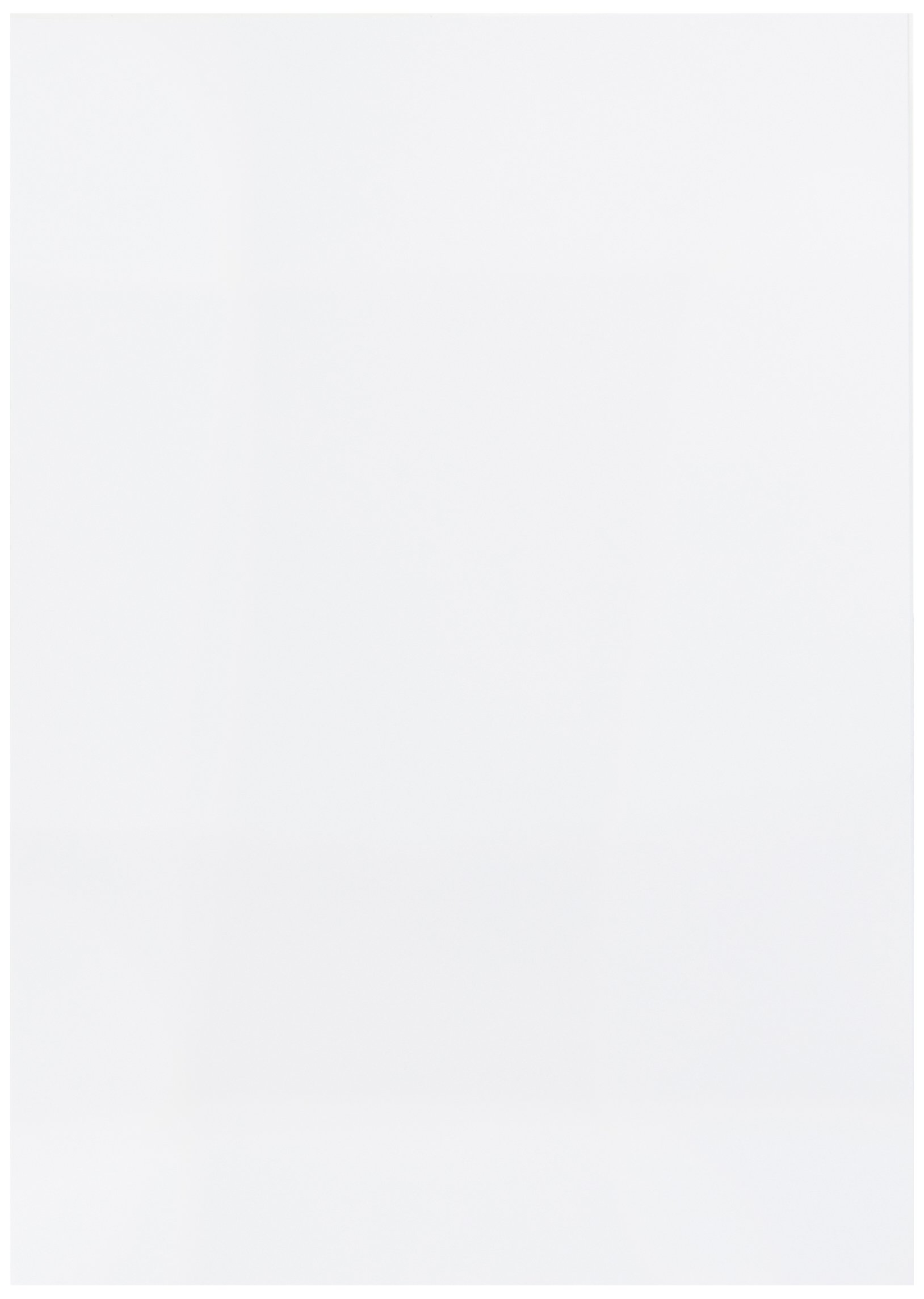 Clairefontaine - Ref 37337C - White Drawing Sketch Paper (Pack of 10 Sheets) - A1 (59.4 x 84cm) - 250gsm Paper, pH Neutral, Acid Free, Suitable for Sketching & Drawing