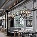 BAYCHEER Metal Round Cage Pendant Lights Industrial Vintage Retro Black Iron Global Pendant Lamp Fixture Hanging Lighting Chandelier with 4 E12 Blub Bases for Restaurant,Bar,Living Room,UL Listed