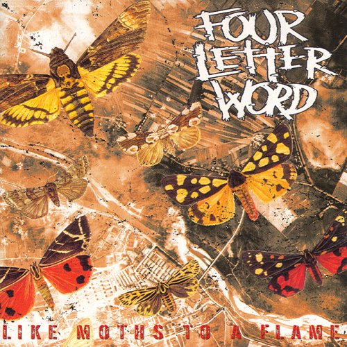 Crystal Castles - Like Moths To A Flame - Zortam Music