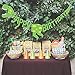 Dinosaur Party Supplies | 72 pcs for Birthday Decorations | Pre-Assembled Banner | Dino Party Pack Favors, Stickers, Inflatable Balloons and Tattoos. Perfect for Kids Jurassic World Theme Party