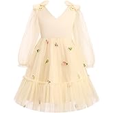 OBEEII Girls Mesh Long Sleeve Strawberry/Hearts/Cherry Tulle Dress Flower Girl Wedding Pageant Birthday Party Dress