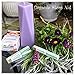FLOWER WATERS DIFFUSER STICK - Vitamin Aromatherapy as Seen on Doctors TV Show - World Famous VitaStick - NEW 5 FLAVORS