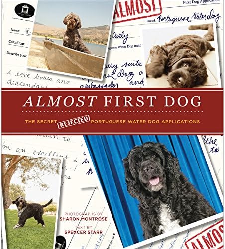 Stewart Tabori &amp; Chang Books-Almost First Dog
