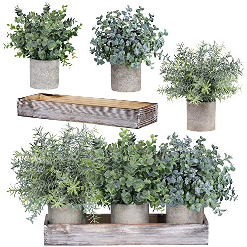 Set of 3 Mini Potted Artificial Eucalyptus Plants Faux Rosemary Plant