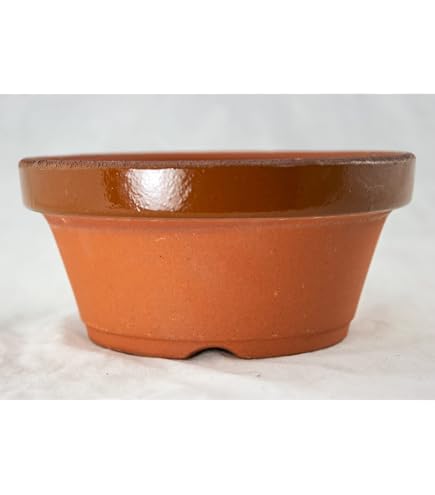 Amazon.com : 2 x Japanese Tokoname Bonsai Training Pot, Cactus & Succulent  Planter with Mesh - 4"x 4"x 1.5" (2X#3) Dark Brown : Patio, Lawn & Garden