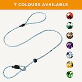 Dog & Field Pro Trialler Slip Lead Blue 120cm Anti Tangle No Harness view 4