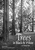 Trees in Black & White: A Visual Tour by 