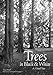 Trees in Black & White: A Visual Tour by 