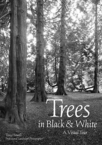 Trees in Black & White: A Visual Tour by Tony Howell