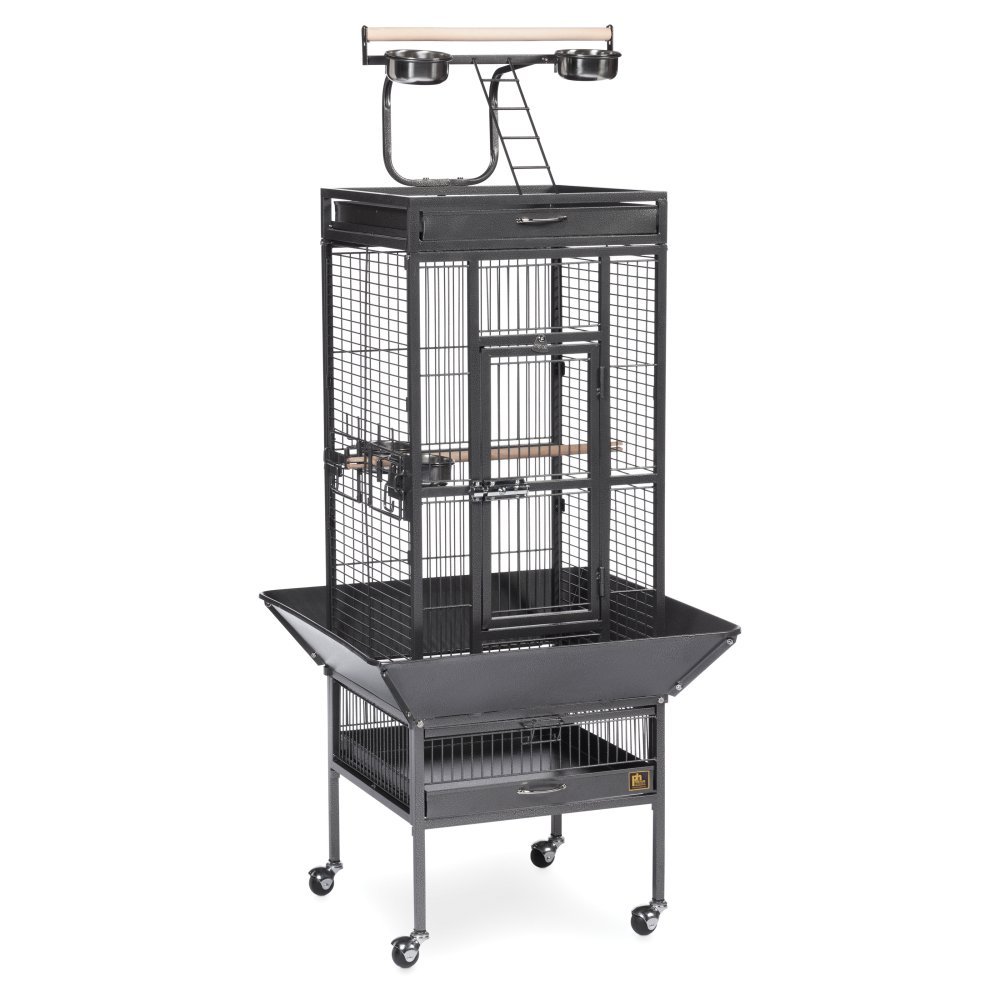 Photo 1 of **PARTS ONLY Prevue Pet Products Wrought Iron Select Bird Cage Black Hammertone 3151BLK, 18'' x 18'' x 57''