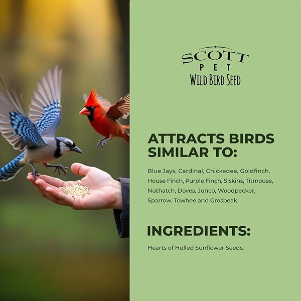 SCOTT PET WILD BIRD SEED, SUNFLOWER HEARTS, 8 LBS BAG, FOR ALL FEEDER TYPES, GREAT SOURCE OF PROTEIN, FOOD FOR OUTSIDE WILD BIRDS