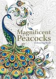 Magnificent Peacocks Colouring Book: Beautiful birds and perfect plumes. Anti-stress colouring. by Christina Rose