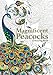 Magnificent Peacocks Colouring Book: Beautiful birds and perfect plumes. Anti-stress colouring. by Christina Rose