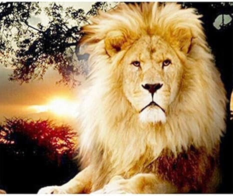 Amazon Co Jp 5dダイヤモンド塗装キットダイヤモンド塗装クロスステッチキットダイヤモンド刺繍モザイクパターン獣の王手工芸品動物ライオン絵 ホーム キッチン