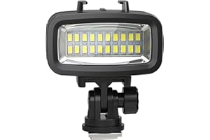 Dive Light Compatible with Gopro Light, 700LM Diving Flashlight, 4 Modes SL-100 Underwater Lights, 40m Waterproof Diving Fill