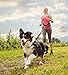 Hands-Free Dog Leash,Bungee Dog Running,Jogging,Hiking,Walking Leash,Reflective,Retractable Training Leash With Adjustable Waist Belt for All Sizes Dogs