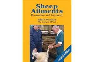 Sheep Ailments: Recognition and Treatment