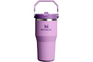 STANLEY IceFlow 2.0 Flip Straw Tumbler with Handle 20 oz | Twist On Lid and Flip Up Straw | Leak Resistant Water Bottle | Insulated Stainless Steel | BPA-Free | Lilac