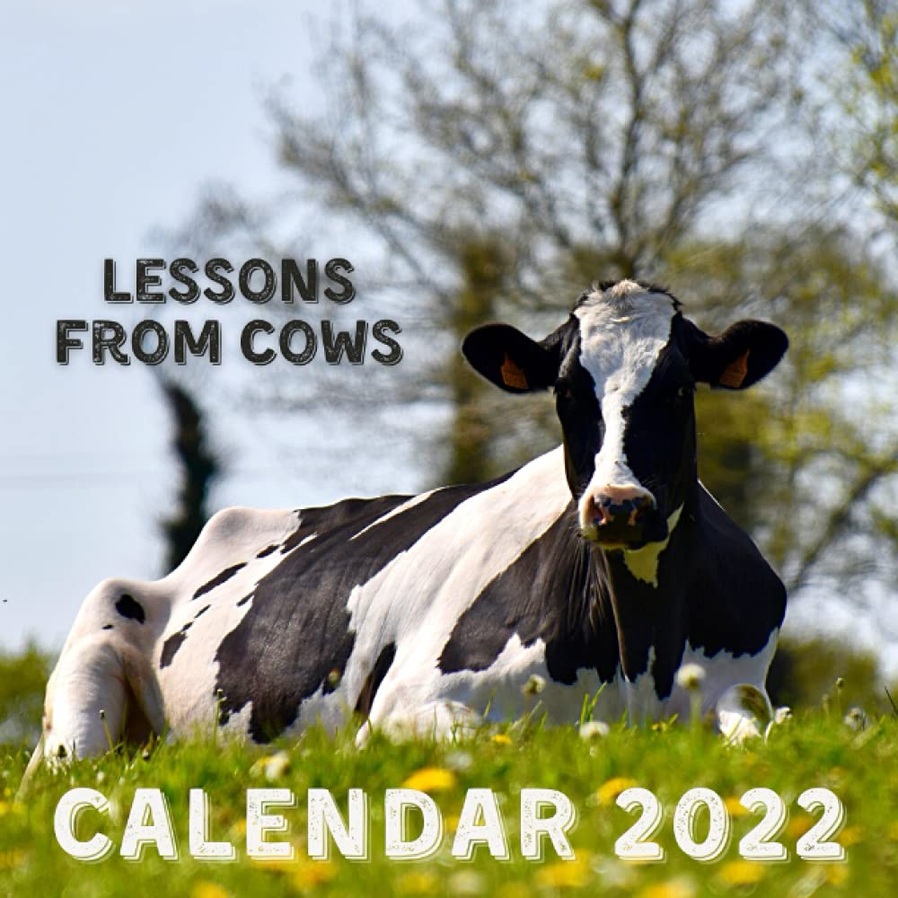 2022 Cow Calendar September Lessons From Cows Calendar 2022: September 2021 - December 2022 Monthly  Planner Mini Calendar With Inspirational Quotes: Publishing, Nature Wisdom:  9798463196996: Amazon.com: Books