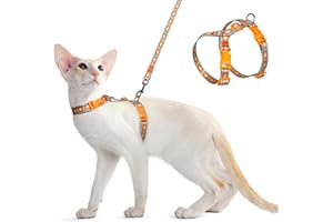 Dooradar Cat Harness and Leash, Escape Proof Adjustable Kitten Vest, Lightweight Soft Pet Straps, Easy Wearing for Small Medium Kitty Safe Walking Travel Control, Multicolor, S