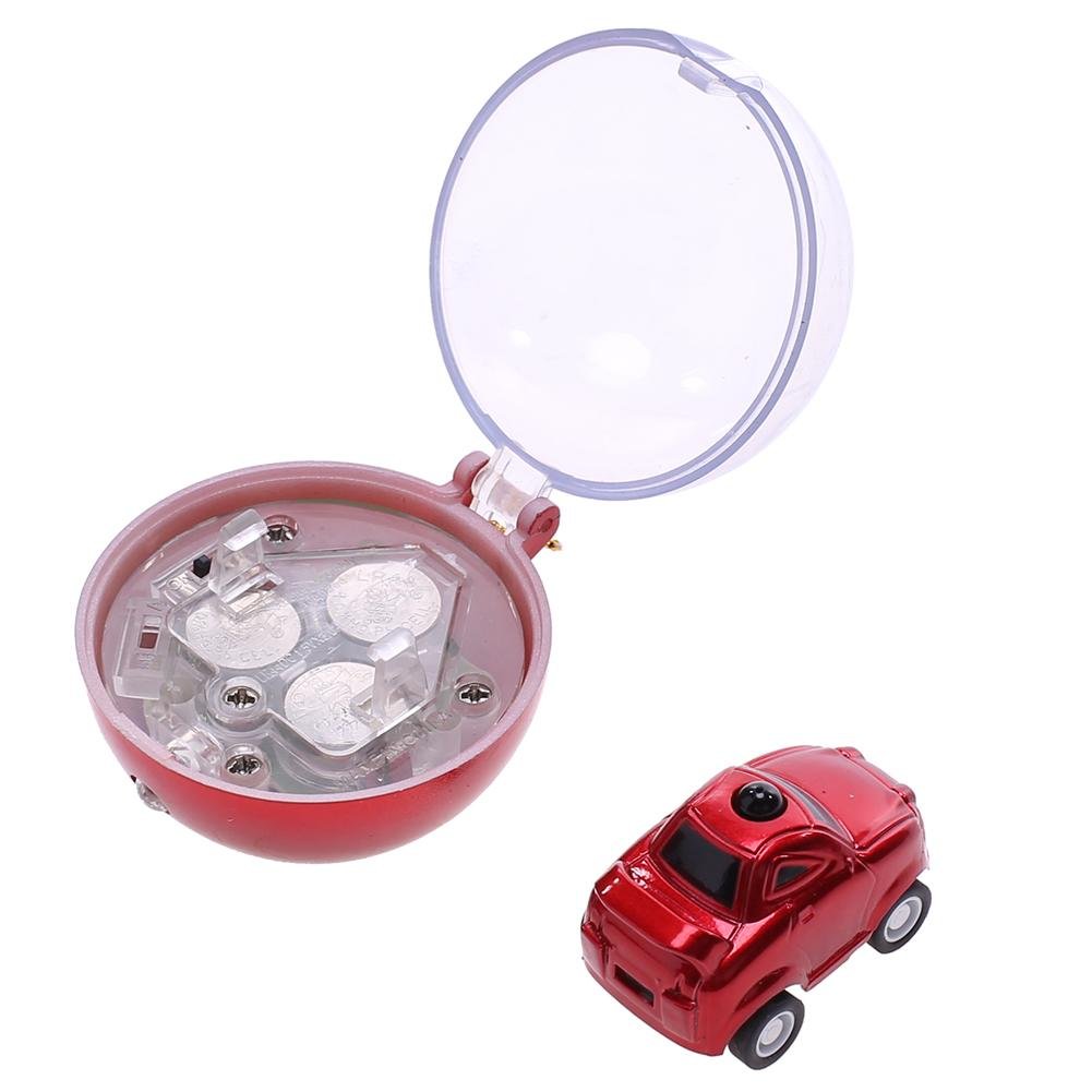 remote control car in a ball